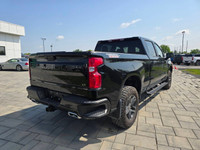 2024 Chevrolet Silverado 1500 LT Trail Boss with the 3.0L Duramax Diesel and only 11,000kms! Clean h... (image 4)