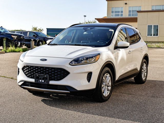 2020 Ford Escape SE 1.5L Ecoboost in Cars & Trucks in Strathcona County - Image 4