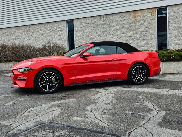 2021 Ford Mustang ECOBOOST PREMIUM CONVERTIBLE-AUTOMATIC-LOADED in Cars & Trucks in City of Toronto - Image 4