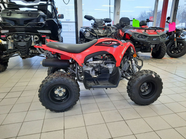 2021 Apollo GIZMO 120CC Sport Let the Fuel Injected Gizmo 120cc  in ATVs in Bridgewater - Image 3