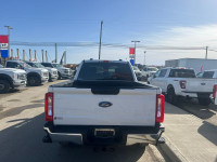 2023 Ford Super Duty F-250 SRW XLT 4WD Crew Cab 6.75' Box, Back-Up Camera, Block Heater, Brake Contr... (image 5)