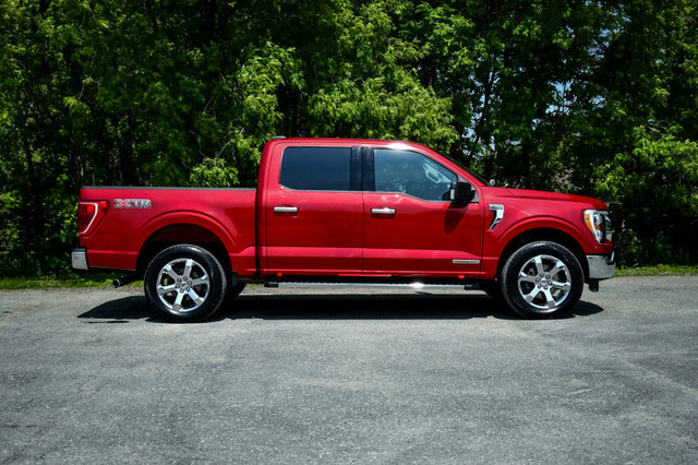 2021 Ford F-150 XLT • REMOTE START • HEATED SEATS • CP/AA in Cars & Trucks in Kingston - Image 2