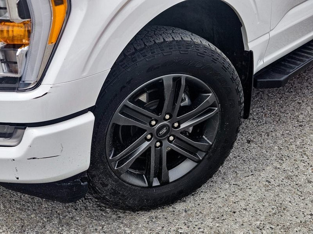2021 Ford F-150 XLT Perfect Pickup! 302A in Cars & Trucks in Kawartha Lakes - Image 4