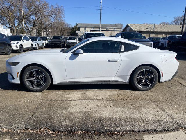 2025 Ford Mustang EcoBoost in Cars & Trucks in Edmonton - Image 2