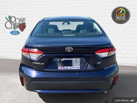 - PREVIOUS DAILY RENTAL - - ACCIDENT FREE - HEATED CLOTH SEATS - HEATED STEERING WHEEL - SUNROOF - D... (image 4)