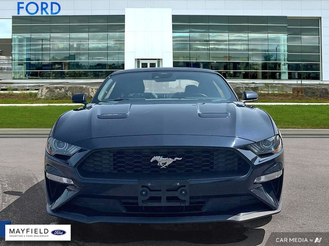 2021 Ford Mustang in Cars & Trucks in Mississauga / Peel Region - Image 2