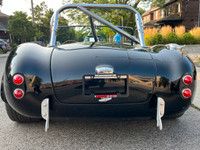 COST OVER $200,000 US TO BUILD CSC FRAME..JOHNEX BODY AND MIDIFIED DEDION LINK. CUSTOM HAND BUILT CA... (image 4)