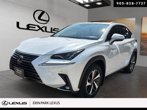 2021 Lexus NX 300h NX 300H