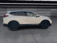A bold and refined all-wheel-drive SUV with exclusive styling and premium features. The Black Editio... (image 8)
