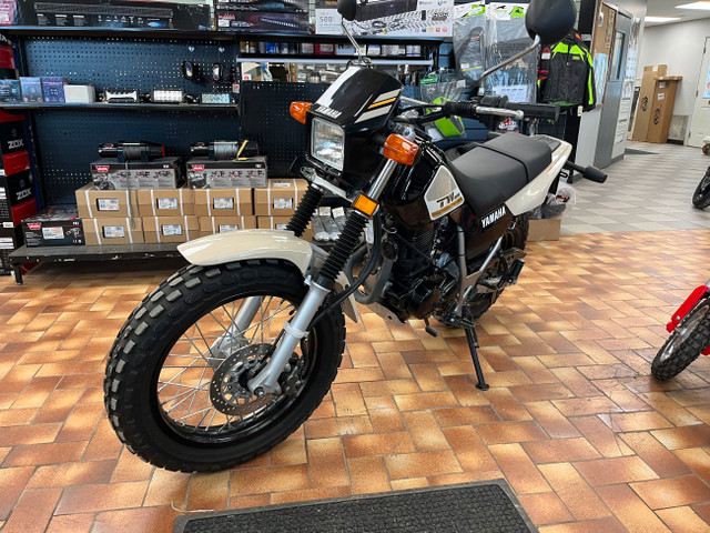 2019 Yamaha TW200 Dual Purpose Other Norfolk County Kijiji