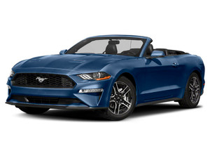 2022 Ford Mustang Other