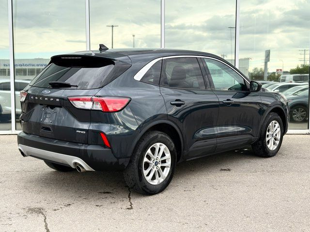 2022 Ford Escape SE | NON-COLLISION CARFAX | HEATED FRONT SEATS in Cars & Trucks in Winnipeg - Image 3