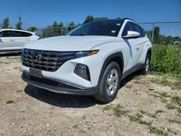 *Leather Seats!* Hyundai wanted to make the incredible Tucson even better, and they exceeded in ever... (image 2)