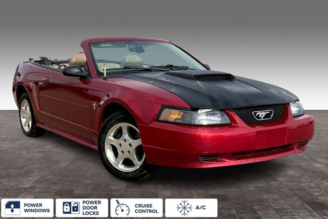 2003 Ford Mustang 2DR CONV in Cars & Trucks in Edmonton - Image 2