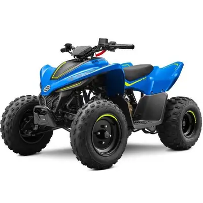 Concessionnaire des véhicules neufs et d'occasion. VTT CF MOTO CFORCE 110 Classic 2025 Il n'y a rien...
