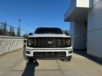 STX 2WD SuperCrew 5.5' Box Engine: 5.0L V8 (image 1)