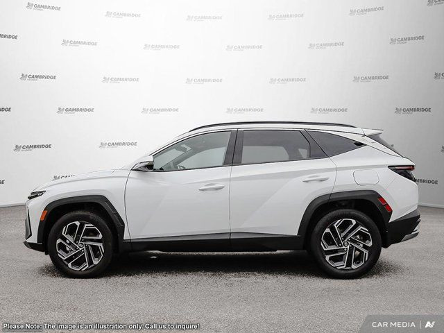 2025 Hyundai Tucson Hybrid N-Line in Cars & Trucks in Cambridge - Image 3