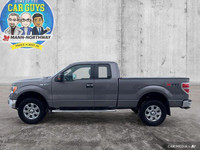 Recent Arrival!Sterling Gray Metallic 2014 Ford F-150 4WD 6-Speed Automatic Electronic 5.0L V8Fresh... (image 1)