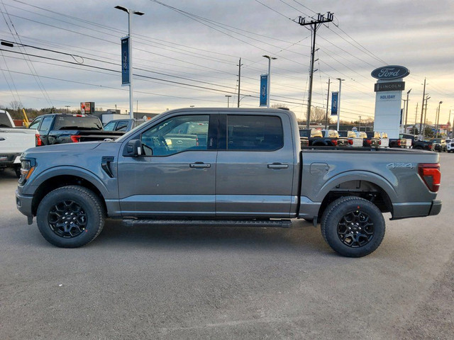  2024 Ford F-150 XLT in Cars & Trucks in Peterborough - Image 3