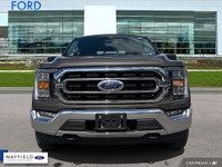 Engine: 8 Cylinder Engine 5.0L L/100Km City: 14.8 L/100Km Hwy: 10.9 Safety Equipment ABS And Driveli... (image 1)