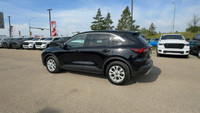 This Ford Escape is equipped with: Cloth Seats Trim, Radio: AM/FM Stereo w/SiriusXM, 8 Inch Touchscr... (image 6)