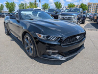 WAS: $30990 NOW: $28490 plus taxes and licensing feesLow Mileage, Premium Audio Package, Rear View C... (image 6)