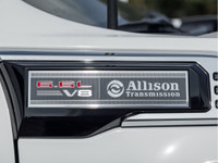 Black Assist Steps | Trailering Pkg | Spray-On Bedliner | HD Rear Vision Camera | Remote Keyless Ent... (image 3)