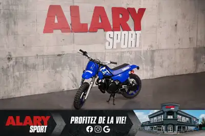 Engine: 49 CC