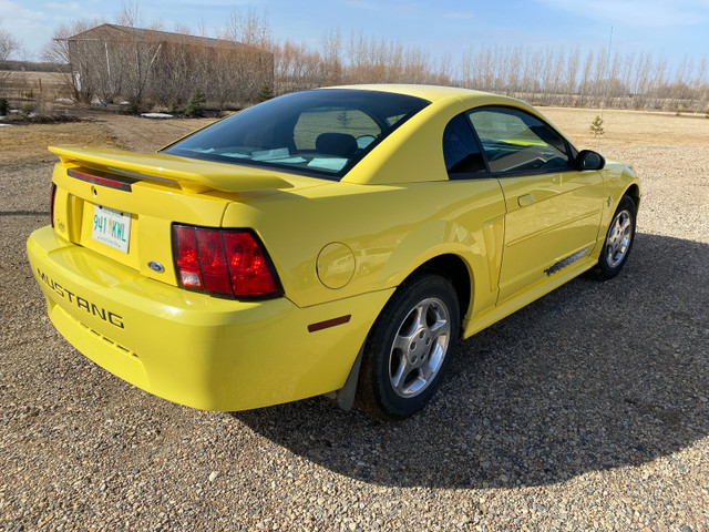 2003 Ford Mustang in Cars & Trucks in Nipawin - Image 4