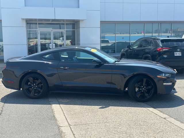 2022 Ford Mustang EcoBoost Premium RWD | FASTBACK | PERFORMANCE  in Cars & Trucks in Saint John - Image 2