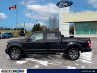 *2016 Ford F-150 XLT 302A* - *No Accidents* Find your next adventure with the 2016 Ford F-150 XLT, a... (image 2)