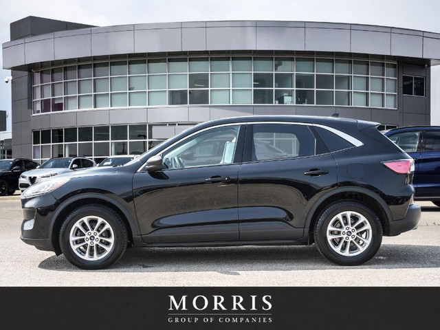 2022 Ford Escape SE Hybrid in Cars & Trucks in Winnipeg - Image 3