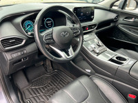 WAS: $30388 NOW: $29616 plus taxes and licensing feesLagoon Blue 4D Sport Utility I4 6-Speed Automat... (image 8)