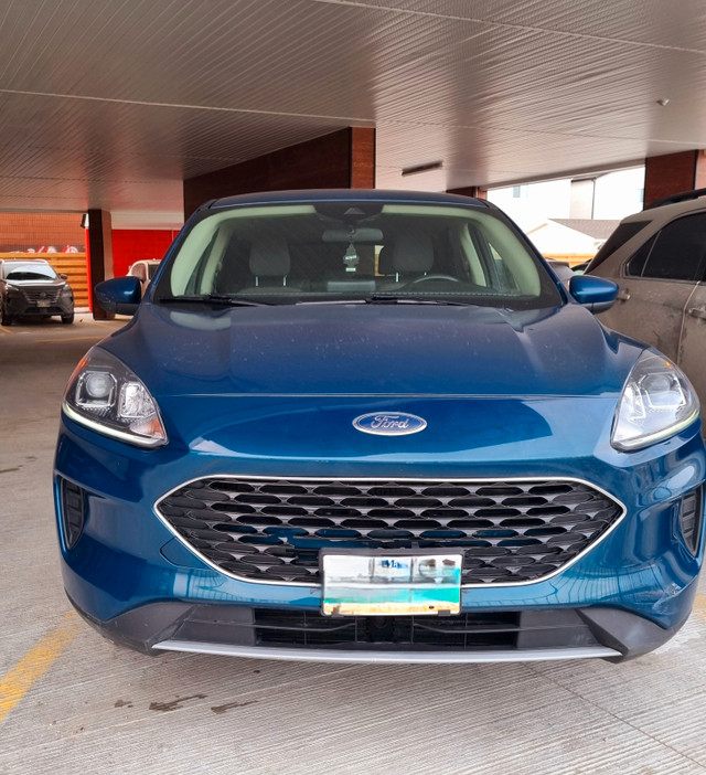 2020 Ford Escape SE in Cars & Trucks in Winnipeg