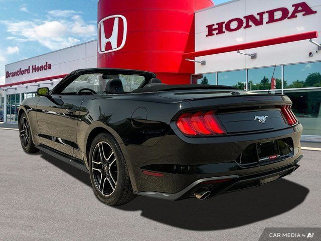 2022 Ford Mustang EcoBoost Premium in Cars & Trucks in Brantford - Image 4
