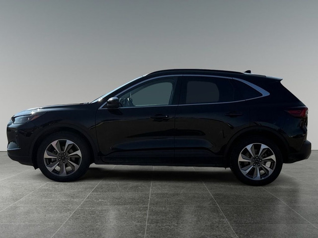2024 Ford Escape Platinum AWD in Cars & Trucks in Calgary - Image 2