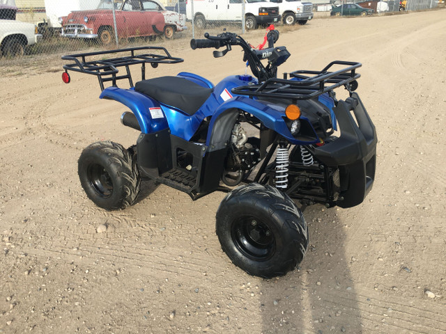 2023 BRAND NEW GIO BLAZER 125 ATV / QUAD / in ATVs in Brandon - Image 2