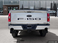 This 2023 Ford F-150 XL Crew Cab pickup boasts a powerful 3.5L V6 EcoBoost engine, ready to tackle a... (image 4)