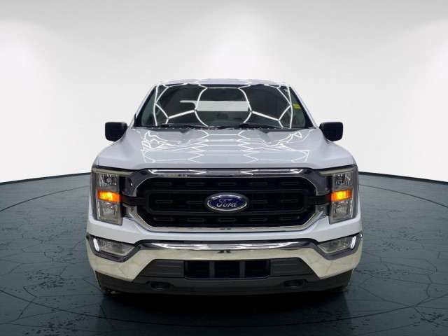 2022 Ford F-150 in Cars & Trucks in Edmonton - Image 3