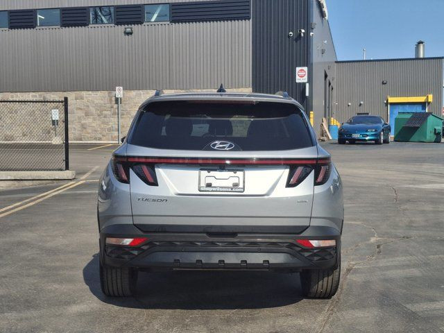 2023 Hyundai Tucson Urban Edition AWD | Leather in Cars & Trucks in Guelph - Image 4