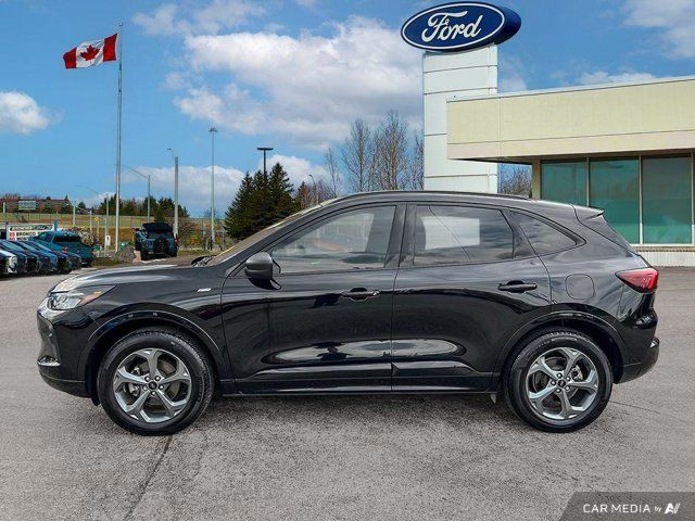 2024 Ford Escape ST-Line in Cars & Trucks in Kitchener / Waterloo - Image 4