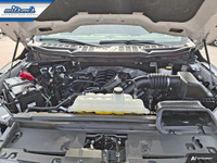 Check out this certified 2024 Ford F-150 XLT Crew 4X4 | 5.0L | Tow Pkg | 360 Camera | Trailer Brake... (image 8)