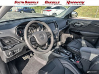 Panoramic Sunroof / Moonroof, Apple Carplay / Android Auto, Clean Accident History Report, Low Kms,... (image 9)
