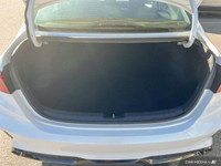 Previous Daily Rental: Window Grid Antenna, Vinyl Door Trim Insert, Variable Intermittent Wipers, Tr... (image 9)