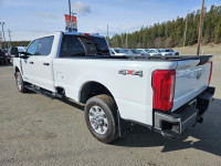 2023 Ford F-350 XLT Crew Cab 8' Box, 6.7L V8 Diesel, Remote Start, Backup Camera, AUX Switches, Keyl... (image 6)