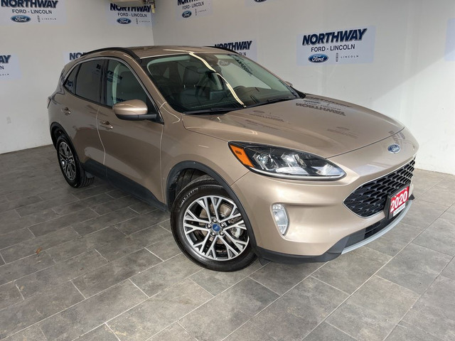 2020 Ford Escape SEL | AWD | LEATHER | CO-PILOT 360 | NAVIGATION in Cars & Trucks in Brantford - Image 4