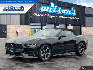 2024 Ford Mustang EcoBoost Premium  Leatherette, Cooled + Heated Seats, CarPlay + Android, Rear Camera, New Tires!