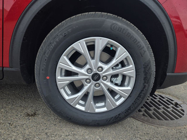 2025 Ford Escape ACTIVE | COLD WTHR PKG | PREMIUM TECH PKG | BLI in Cars & Trucks in Calgary - Image 4