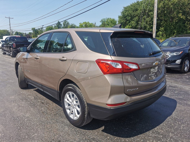 2019 Chevrolet Equinox in Cars & Trucks in Belleville - Image 3