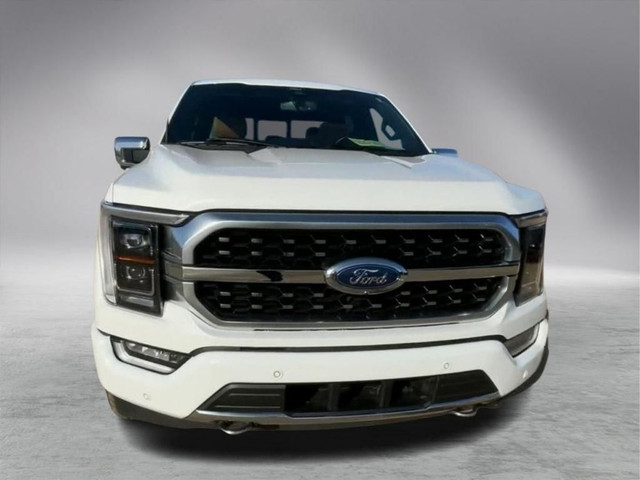  2022 Ford F-150 PLATINUM in Cars & Trucks in Edmonton - Image 3